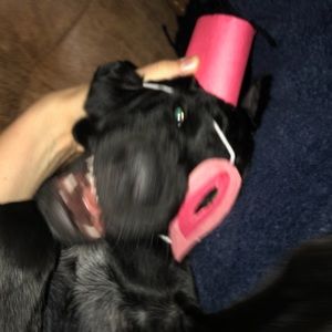 Meet your Posher, Jules